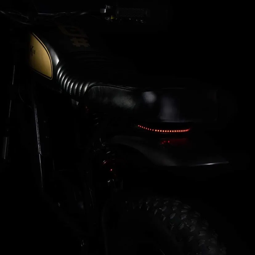 2025 UPDATED - Cooler Kub 250S - Dual Removable Battery, 80km  Range