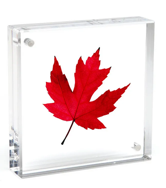 Acrylic Magnet Frame, Clear