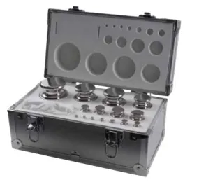 Adam Equipment F1 1g - 100g Calibration Weight Set
