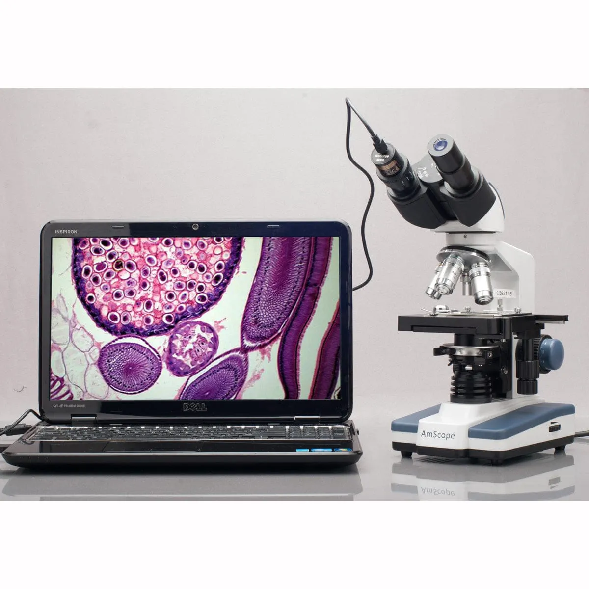AmScope MD Series 3.0MP USB 2.0 Color CMOS Digital Eyepiece Microscope Camera with Calibration Slide