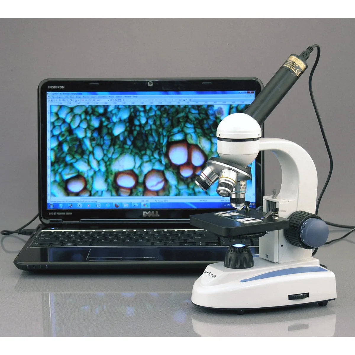 AmScope MD Series 5.0MP USB 2.0 Color CMOS Digital Eyepiece Microscope Camera with Calibration Slide