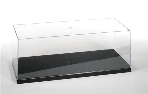 AMT Display Case