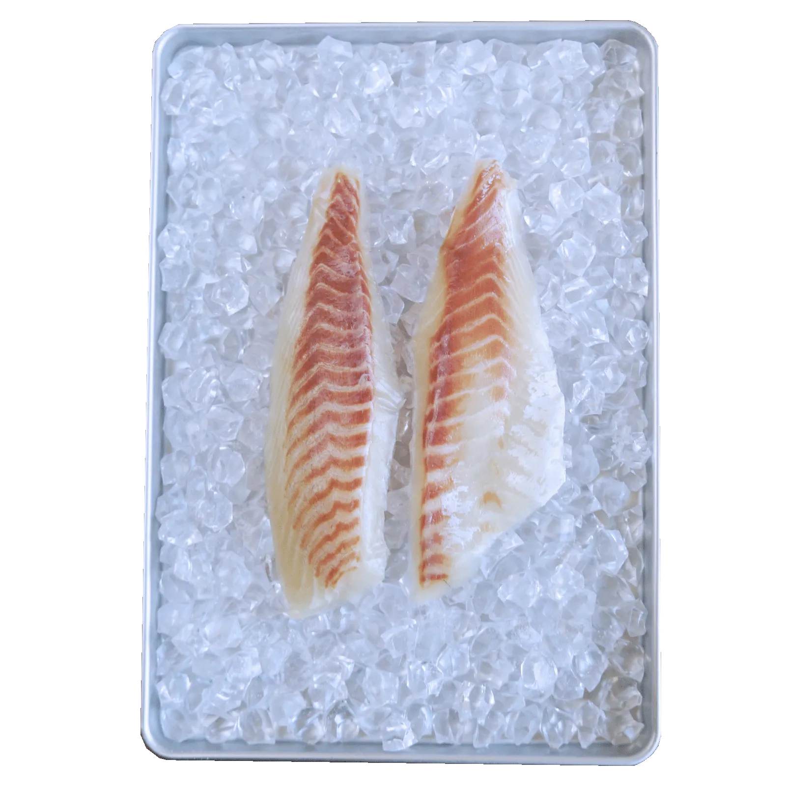 BAP-Certified Red Seabream Sashimi Grade Fish Fillets from Japan (280g)