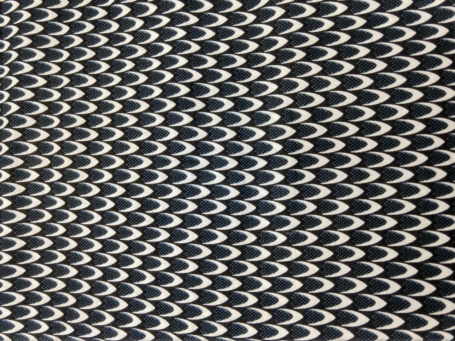 Black Scales