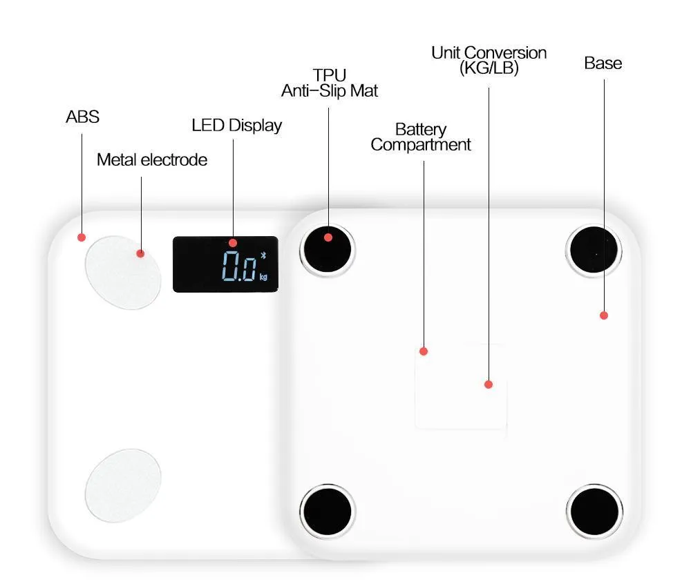 Bluetooth Digital Body Scale