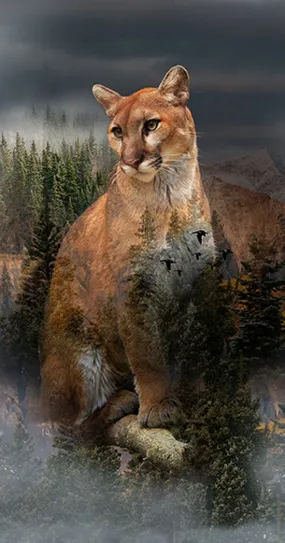Call of the Wild - Pine