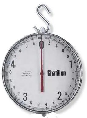 Chatillon WT12 Series Crane Scale - WT12-05000-SH