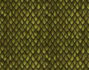 Dragons The Ancients Dragon Scales