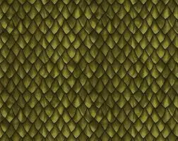 Dragons The Ancients Dragon Scales