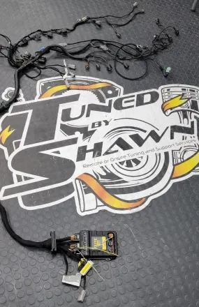Haltech - Mazda Rx8 REW Swap Engine Harness