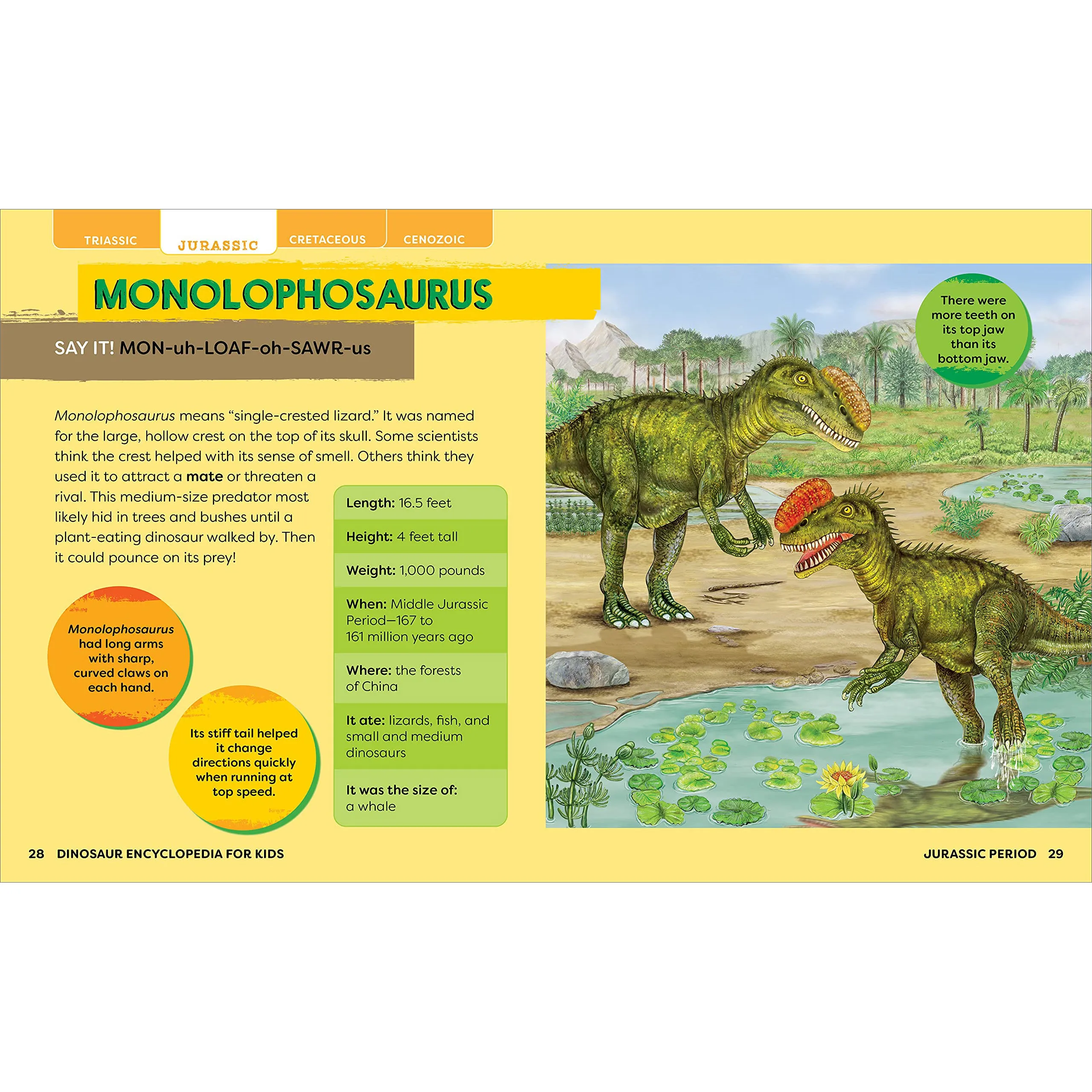 House of Marbles Dinosaurs - Encyclopedia Prehi