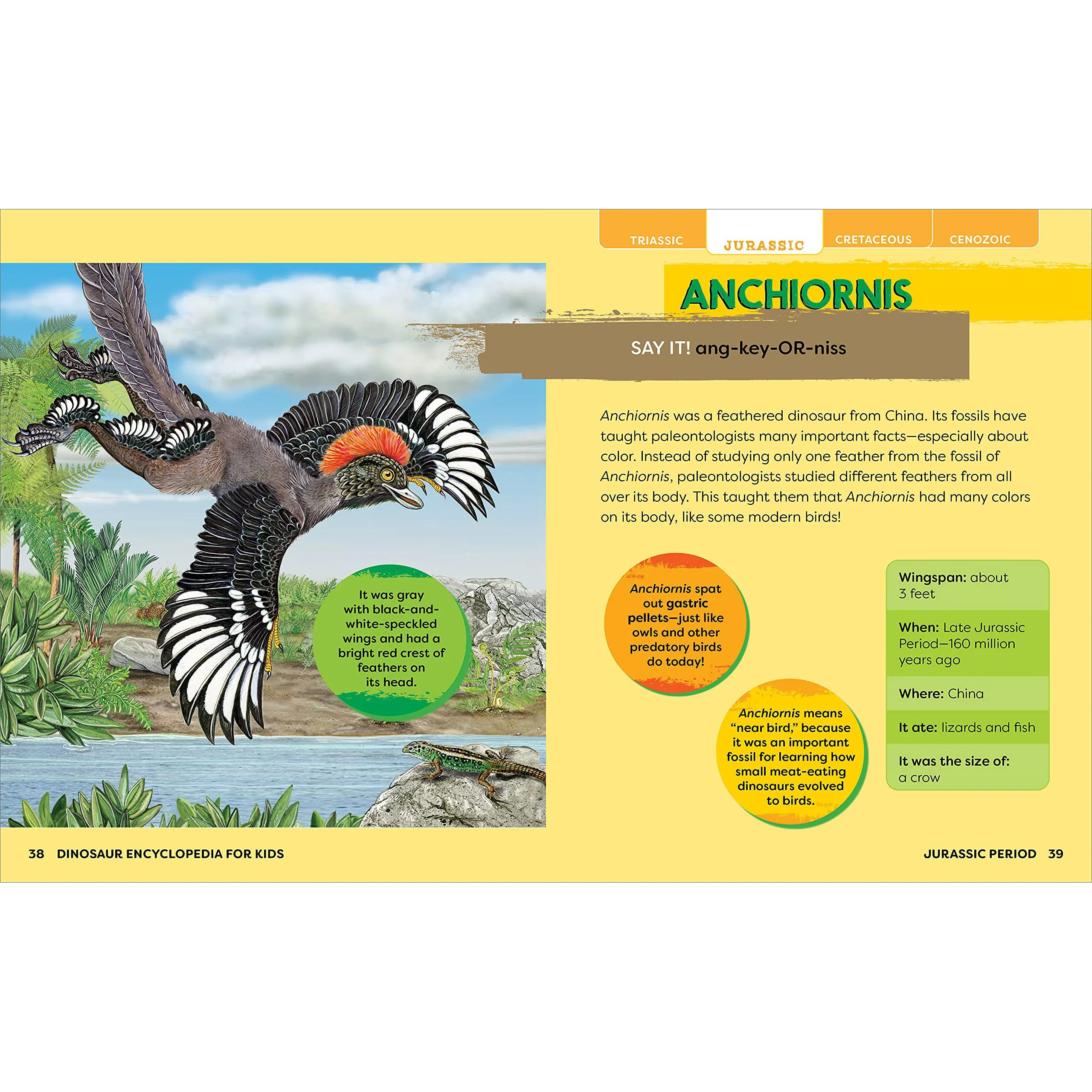 House of Marbles Dinosaurs - Encyclopedia Prehi