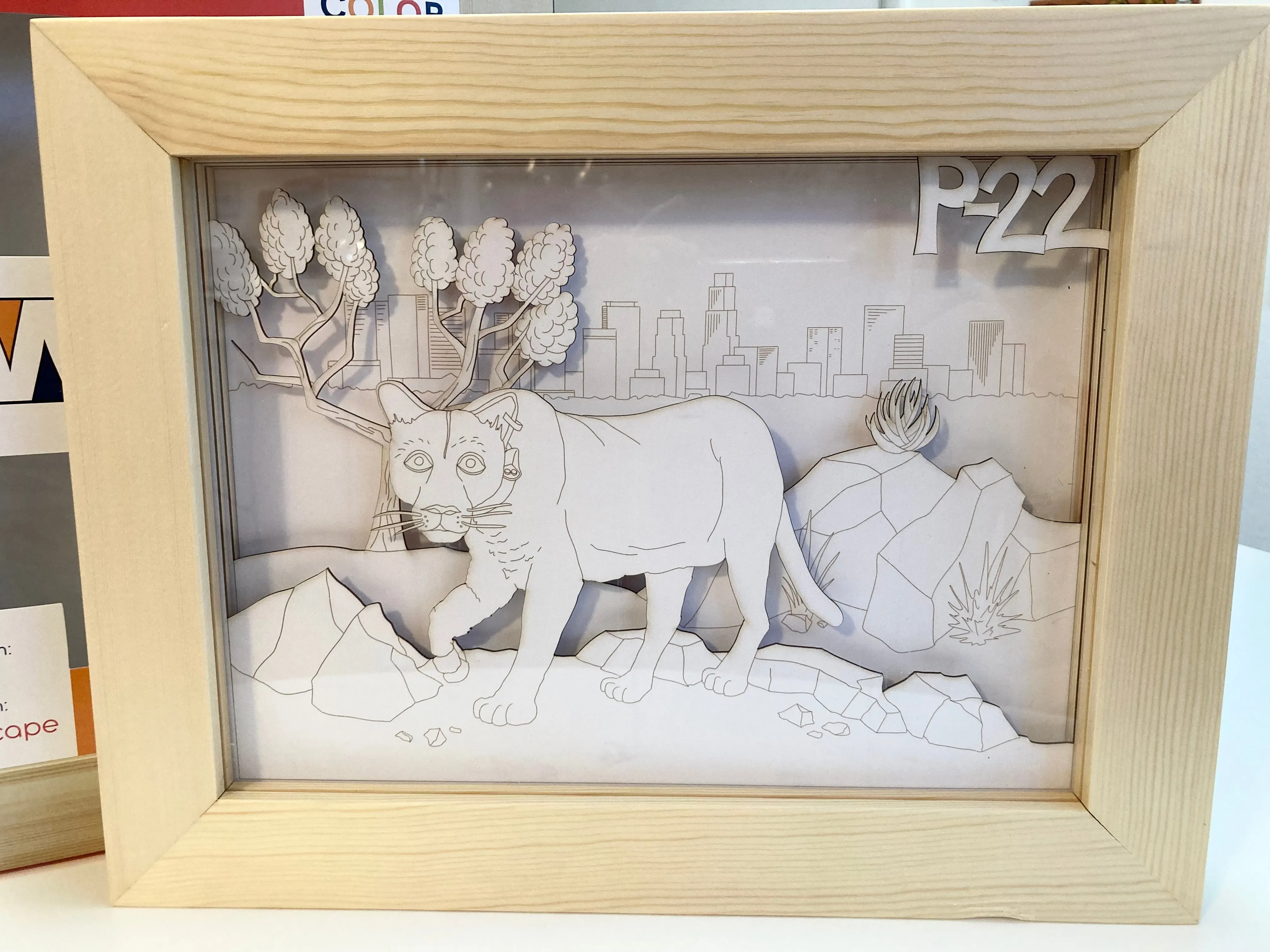 P-22 Coloring Art Frame