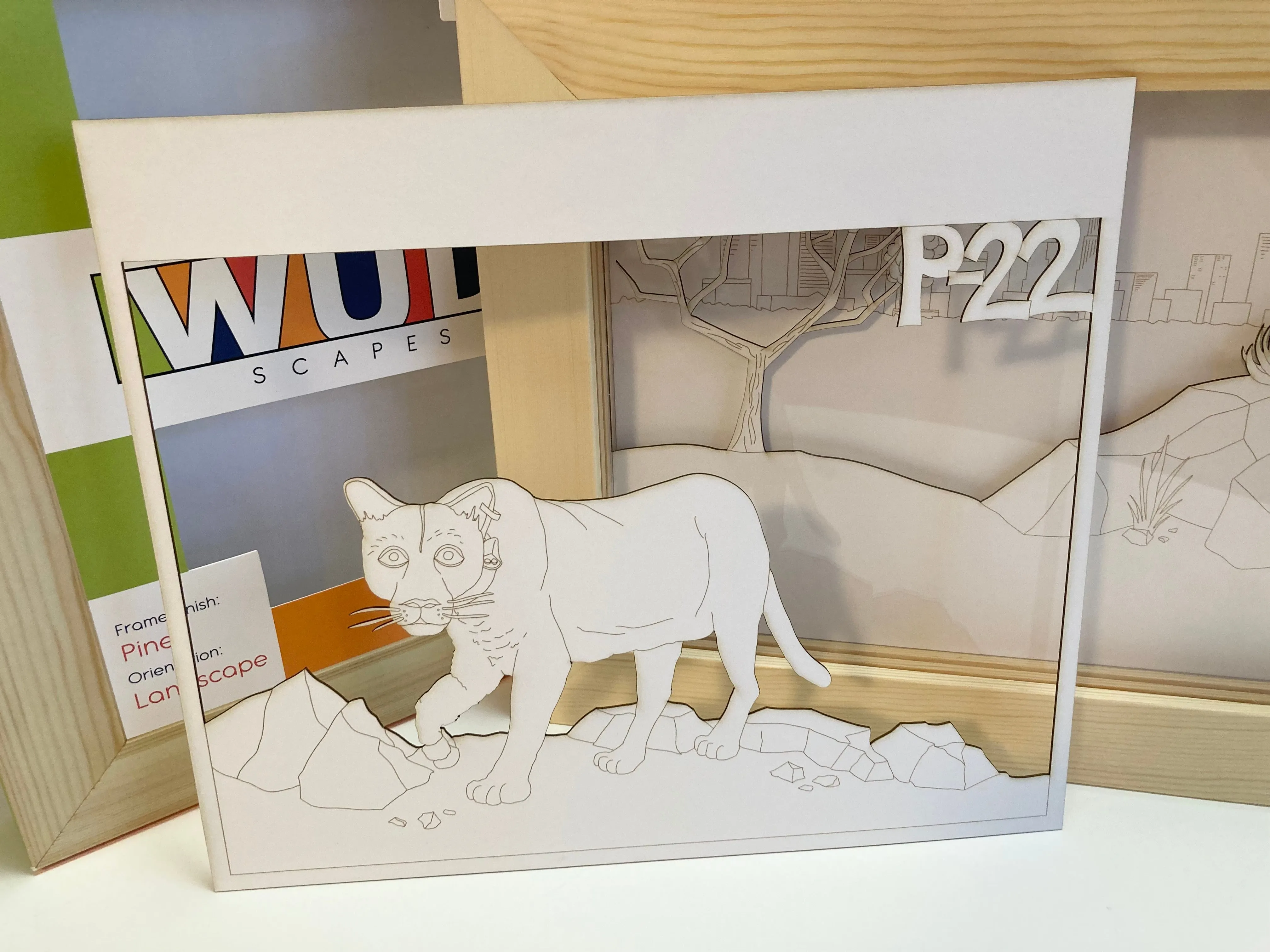 P-22 Coloring Art Frame