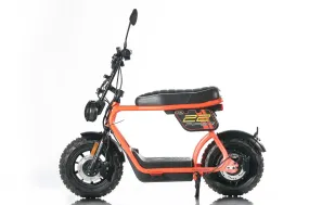 Piper Orange