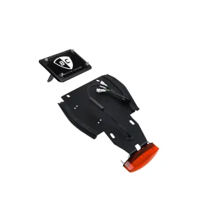 Plug & Play Fender Eliminator Side Mount Kit for Triumph Motorcycles (2016 )