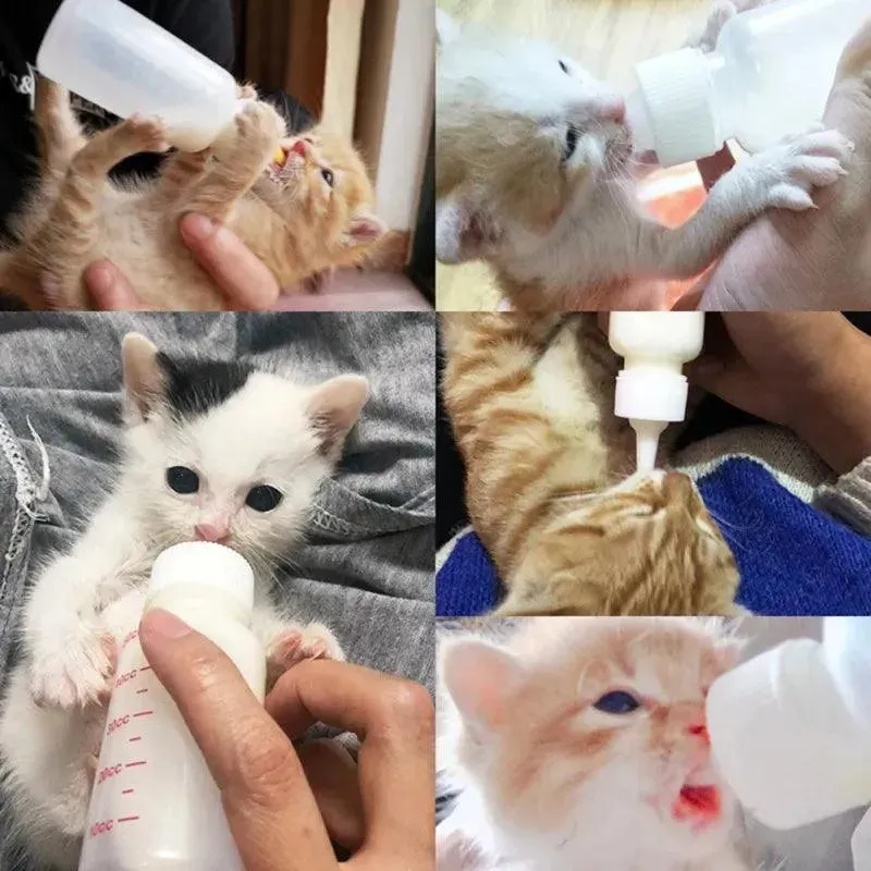 Puppy Kitten Nursing Bottle Set