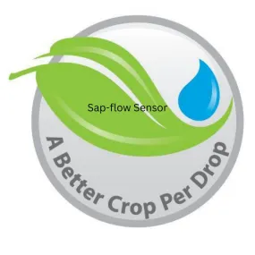 sap-flow-sensor