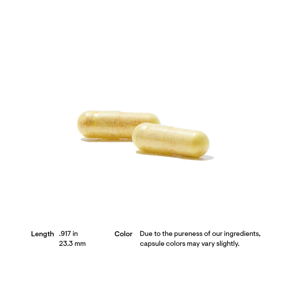 S.A.T. (Silymarin, Artichoke, Turmeric) 60 count