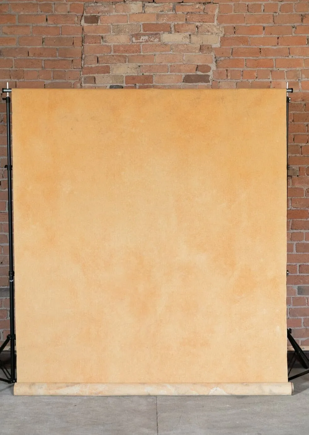 Scarab Gold #0045// Large Hand-Painted Canvas Backdrop Painting