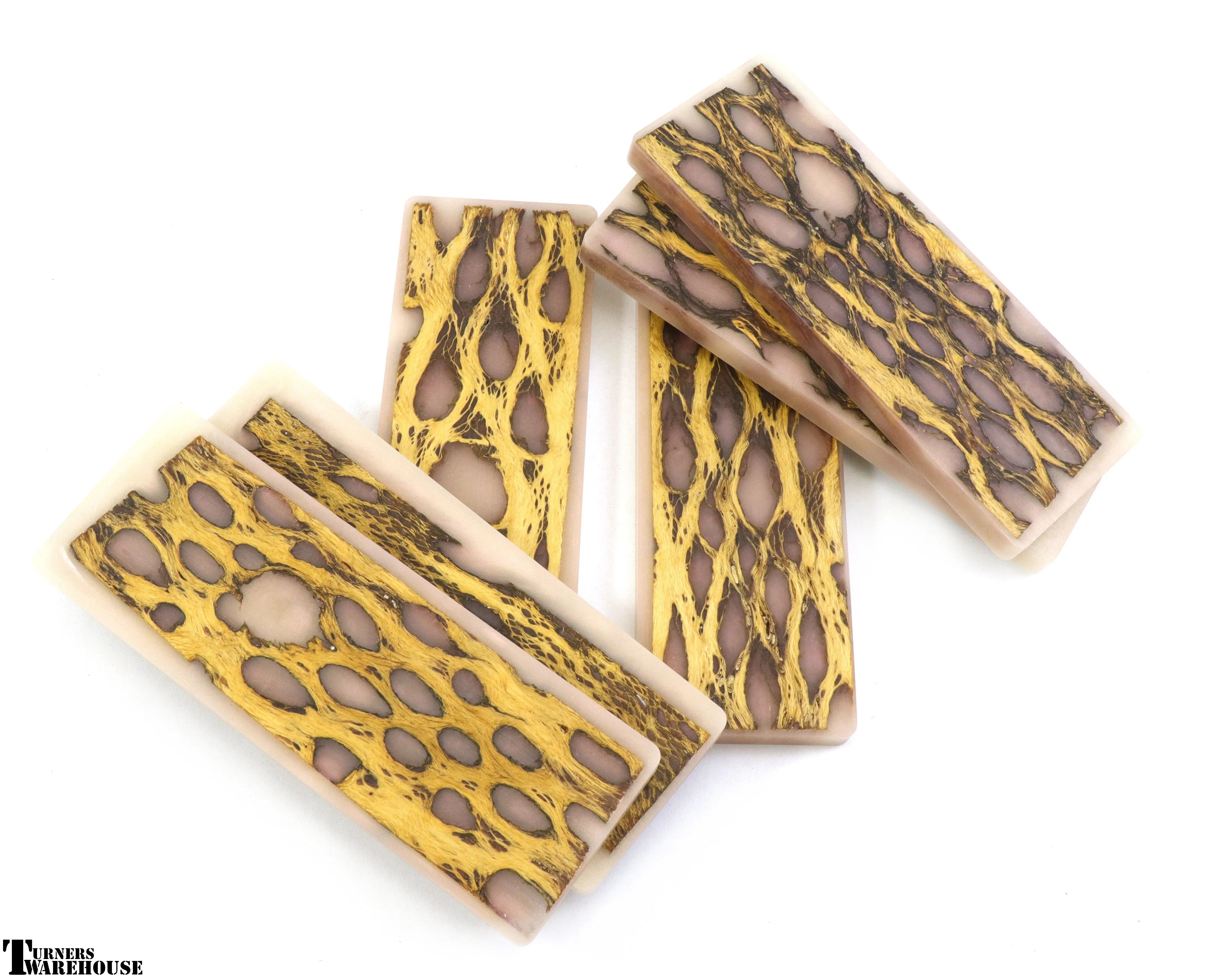 Top Choice - Cholla Knife Scales