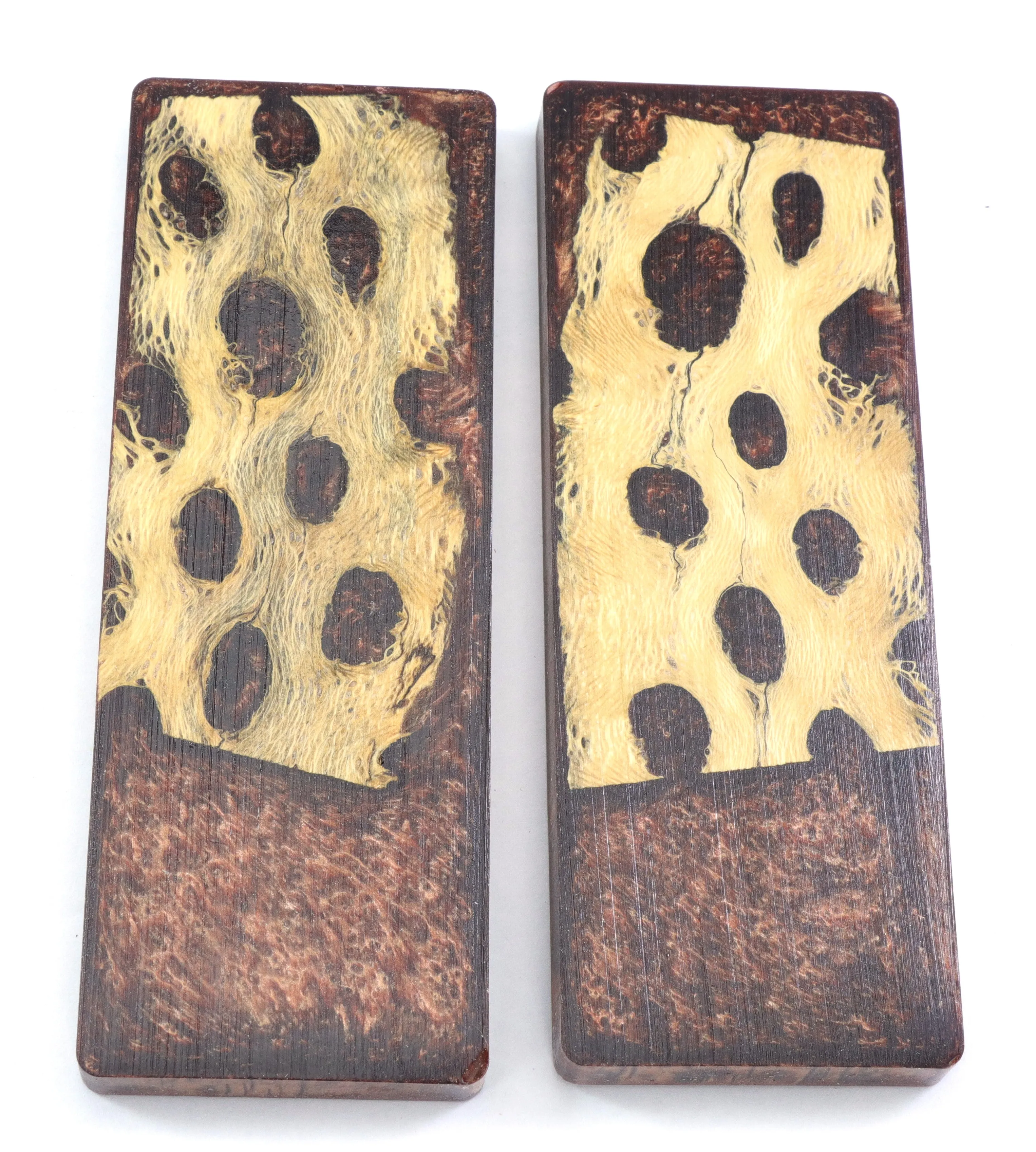Top Choice - Cholla Knife Scales