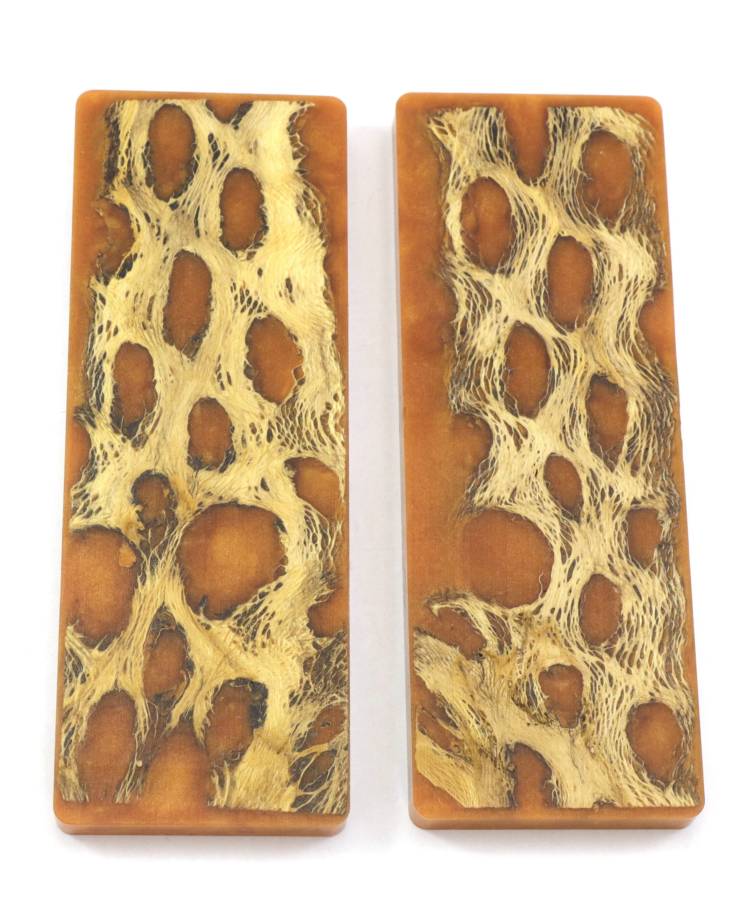 Top Choice - Cholla Knife Scales