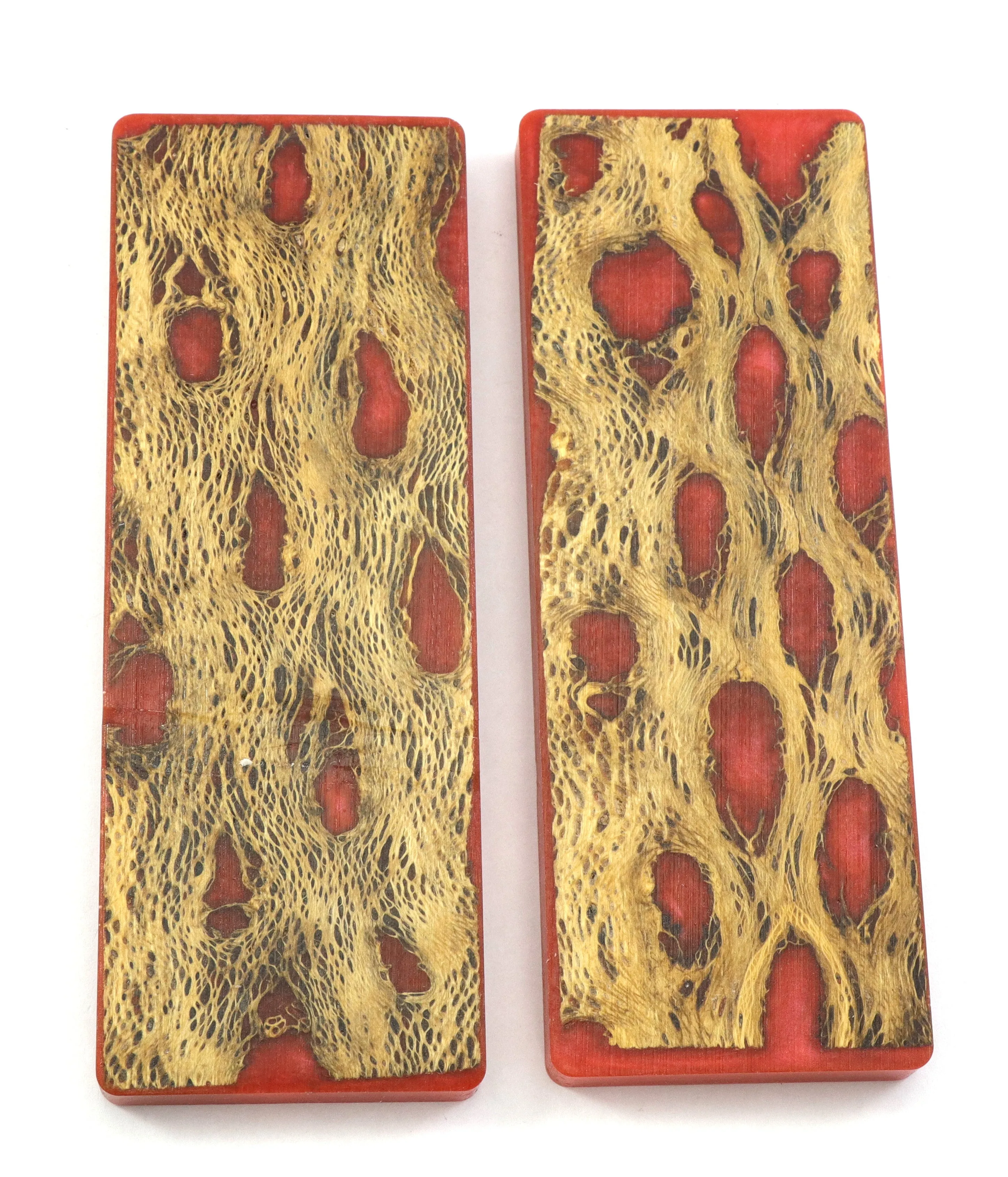 Top Choice - Cholla Knife Scales
